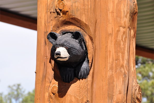 tree carving - bear in a tree